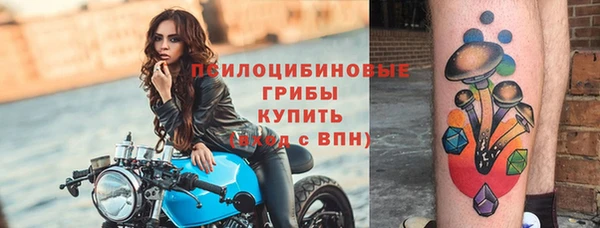 скорость Снежногорск