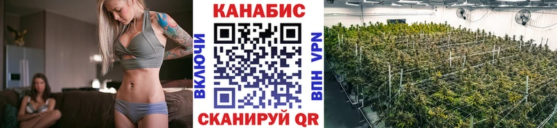 Каннабис MAZAR Кинешма